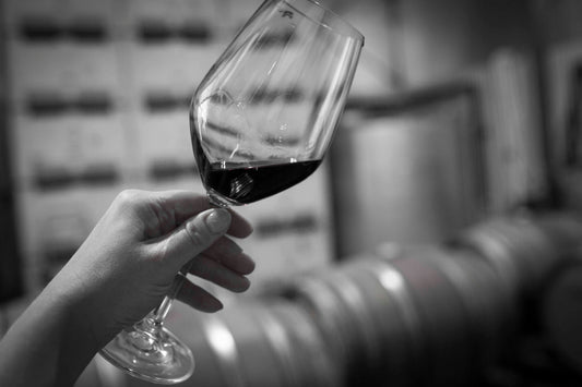 What is the best wine for beginners?