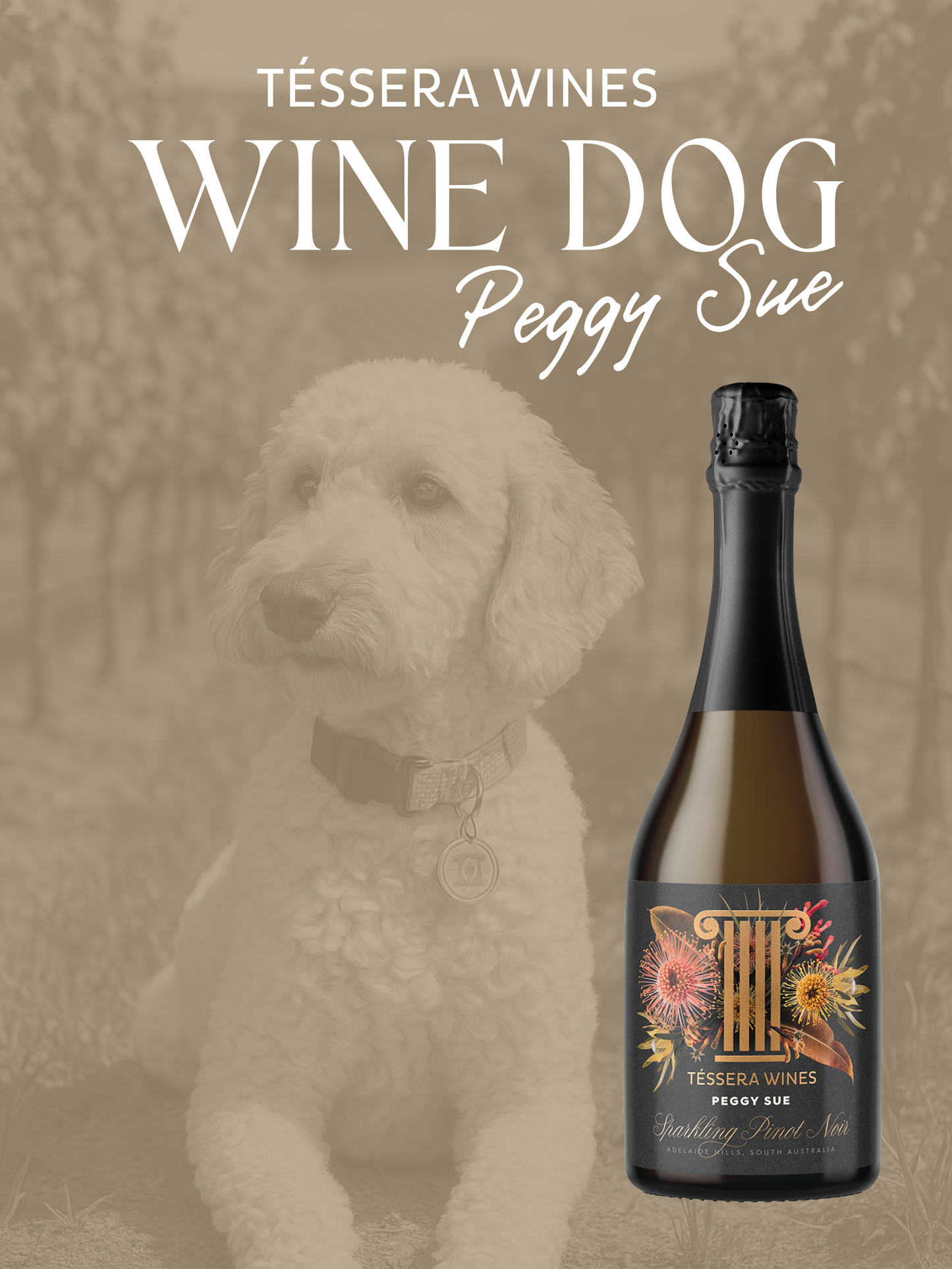 'Peggy Sue' Sparkling Pinot Noir